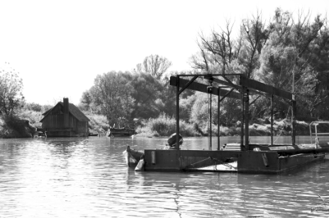 2014 im September, Seitenarm der Donau bei Orth